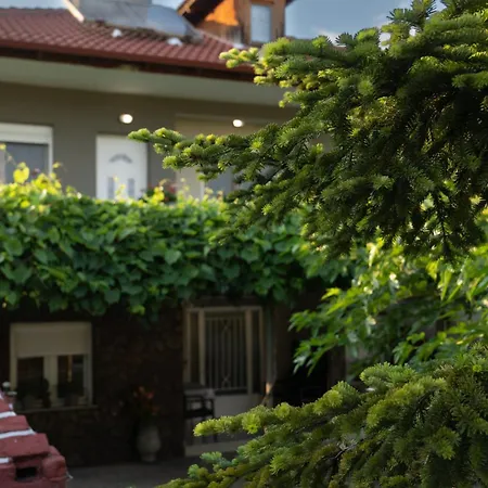 Xrysa's House Aridaia