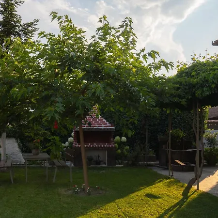 Xrysa's House