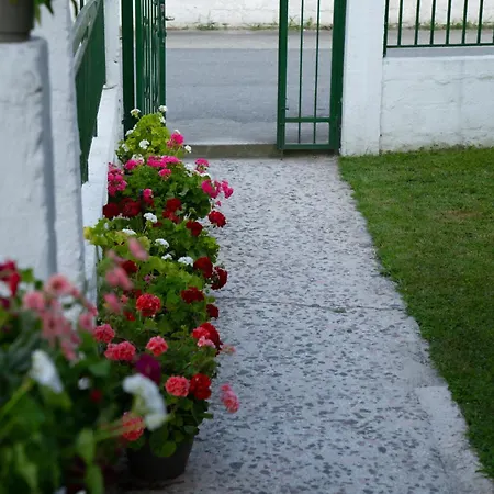 Xrysa's House Daire *