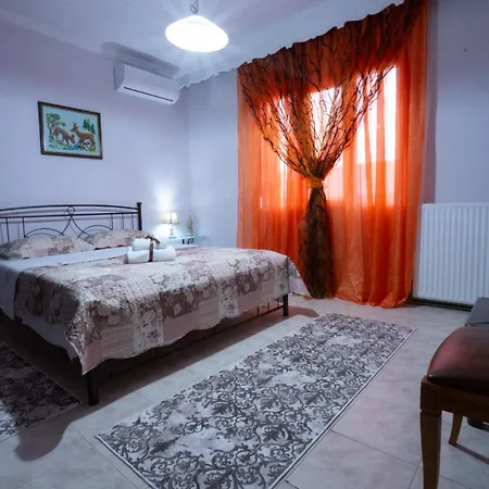 Xrysa's House