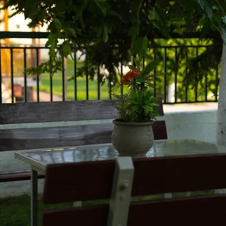 Xrysa's House Apartment