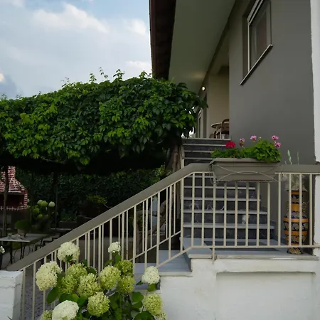 Apartment Xrysa's House *