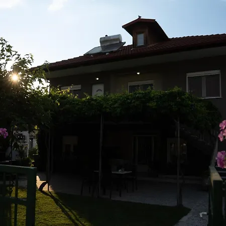 Xrysa's House