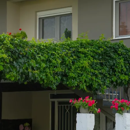 Xrysa's House Apartment *