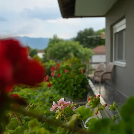 Xrysa's House Daire *