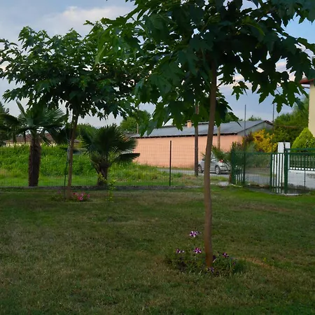 Xrysa's House Aridaia