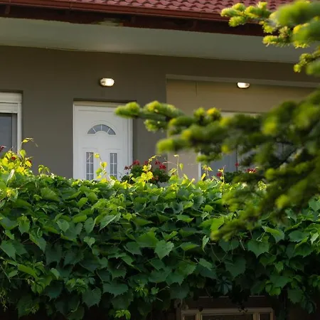 Xrysa's House Daire *