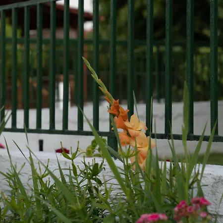 Apartment Xrysa's House Aridaia