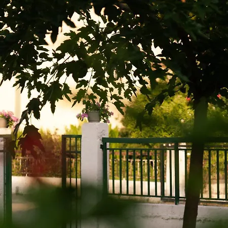 Apartment Xrysa's House