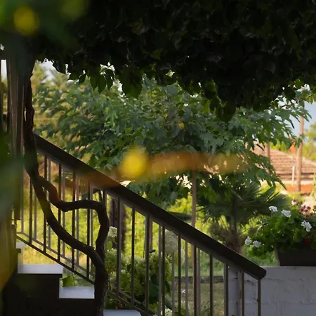 Xrysa's House Aridaía