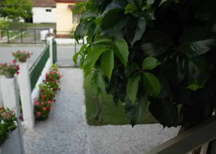 Appartement Xrysa's House *