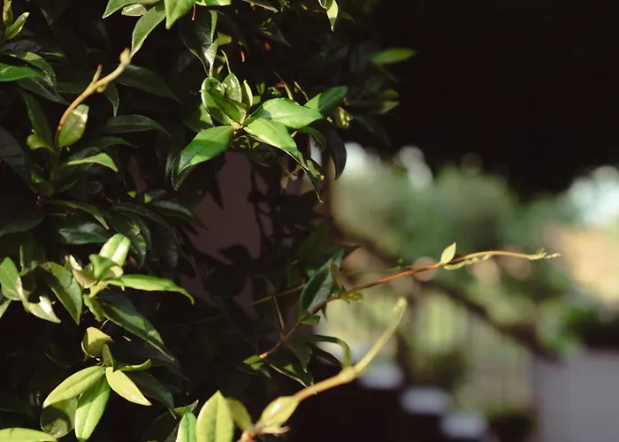 Appartement Xrysa's House