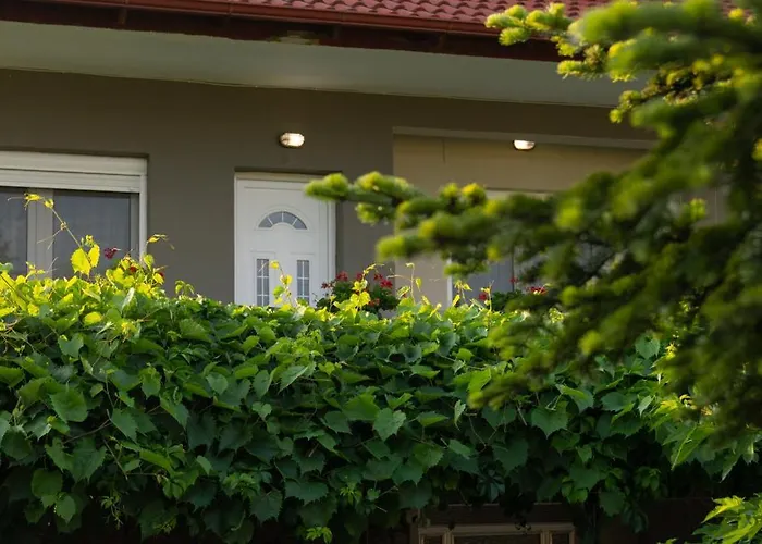 Xrysa's House Appartement *