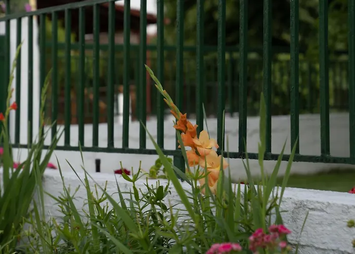 Appartement Xrysa's House Aridaía