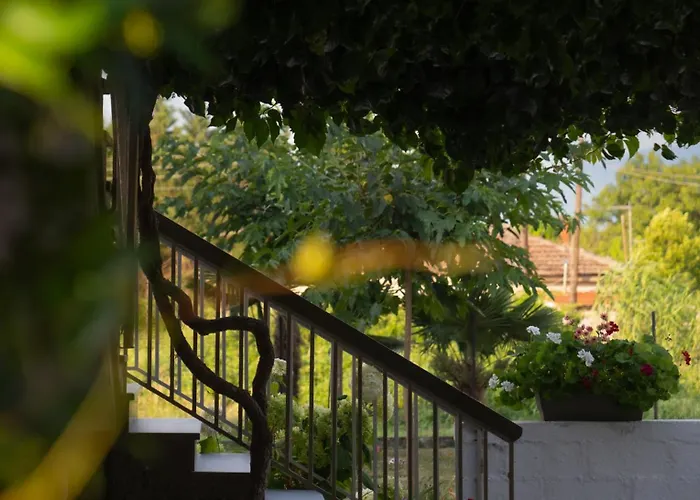 Xrysa's House Aridaía