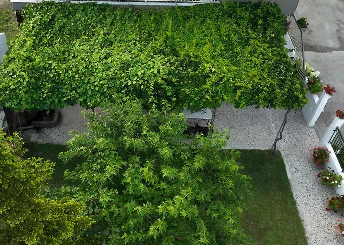 Appartement Xrysa's House Aridaía