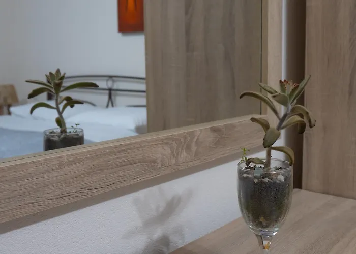 Xrysa's House * Aridaía